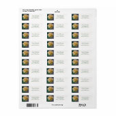 Buttercreme-Rose (Vorne)