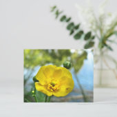 Buttercup am Teich Postkarte (Stehend Vorderseite)
