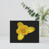 Buttercup auf schwarz postkarte (Stehend Vorderseite)