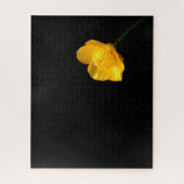Buttercup-Blume 16x20 520pc jpcn Puzzle (Vertikal)