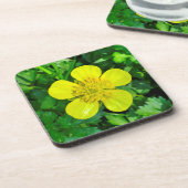 Buttercup Blume bewundern. Getränkeuntersetzer (Linke Seite)
