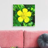 Buttercup Blume bewundern. Leinwanddruck (Insitu (Wohnzimmer))