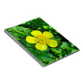 Buttercup Blume bewundern. Notizblock (Rechte Seite)