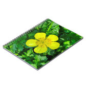 Buttercup Blume bewundern. Notizblock (Linke Seite)