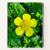 Buttercup Blume bewundern. Notizblock (Rückseite)