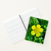 Buttercup Blume bewundern. Notizblock (Innenseite)