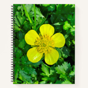 Buttercup Blume bewundern. Notizblock