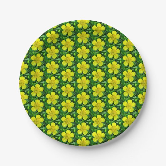 Buttercup Blume bewundern. Pappteller (Vorderseite)
