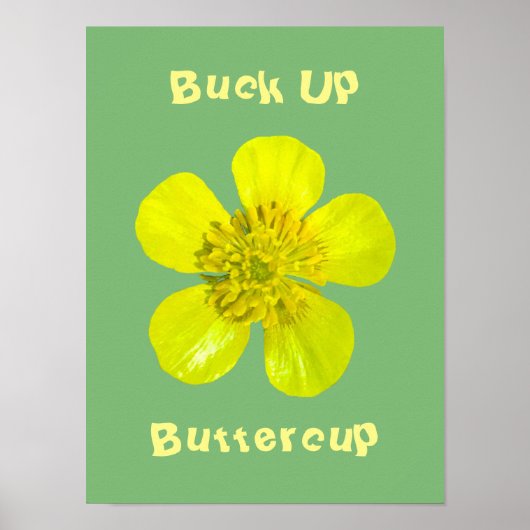 Buttercup Blume - Bringe den Buttercup hoch. Poster (Vorne)