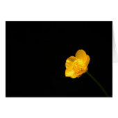 Buttercup Blume Gccna (Vorderseite (Horizontal))