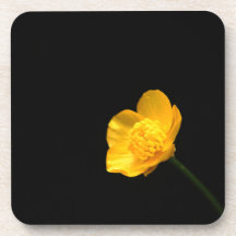 Buttercup-Blume
