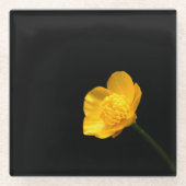 Buttercup-Blume Glasuntersetzer (Vorderseite)