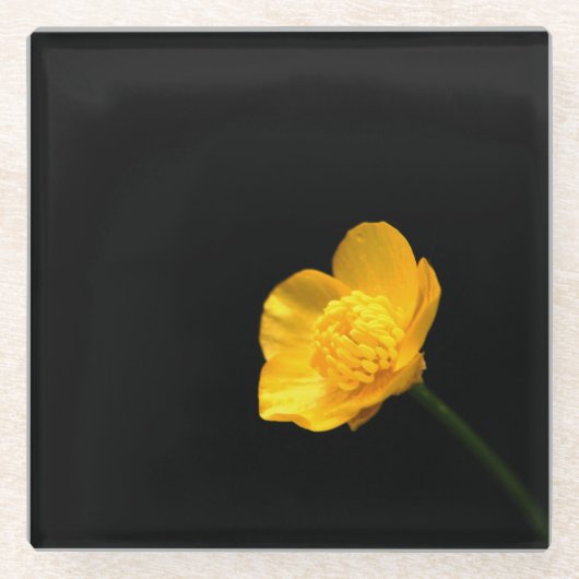 Buttercup-Blume Glasuntersetzer (Vorderseite)
