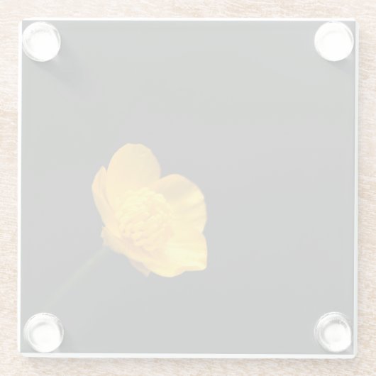 Buttercup-Blume Glasuntersetzer (Rückseite)