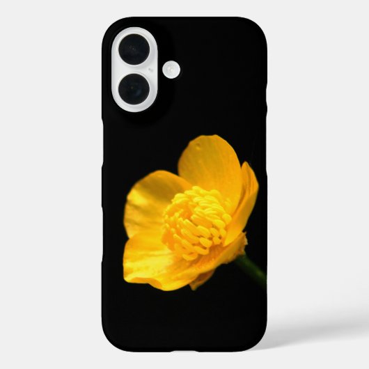 Buttercup Blume iphcna Case-Mate iPhone Hülle (Rückseite)