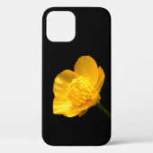 Buttercup Blume iphcna Case-Mate iPhone Hülle (Rückseite)