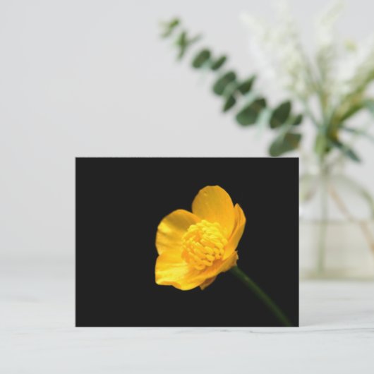 Buttercup-Blume Postkarte (Stehend Vorderseite)