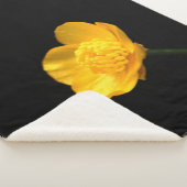 Buttercup Blume sbcna Sherpadecke (3/4)