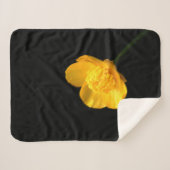 Buttercup Blume sbcna Sherpadecke (Vorderseite (Horizontal))