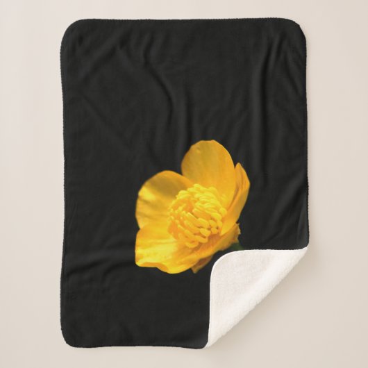 Buttercup Blume sbcnm Sherpadecke (Vorderseite)