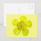 Buttercup Blume - transparent. Karte (Vorne/Hinten)