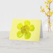 Buttercup Blume - transparent. Karte (Gelbe Blume)