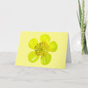 Buttercup Blume - transparent. Karte
