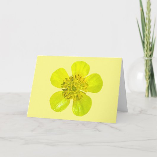 Buttercup Blume - transparent. Karte (Vorderseite)