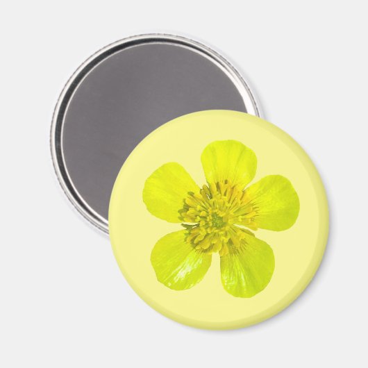 Buttercup Blume - transparent. Magnet (Vorderseite/Rückseite)
