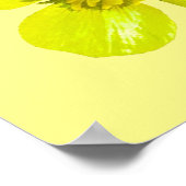 Buttercup Blume - transparent. Poster (Ecke)