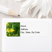 Buttercup Gelbe Daffodien Rücksendeadresse Etikett (Insitu)