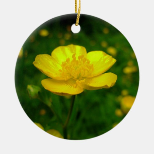 Buttercup Ornament Blume Weihnachtsdekoration (Vorne)