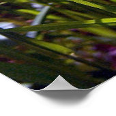 Buttercup-Plakat ankurbeln Poster (Ecke)