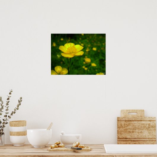 Buttercup Poster Print Wildfower Art Printing (Küche)