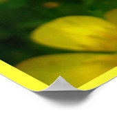 Buttercup Poster Print Wildfower Art Printing (Ecke)