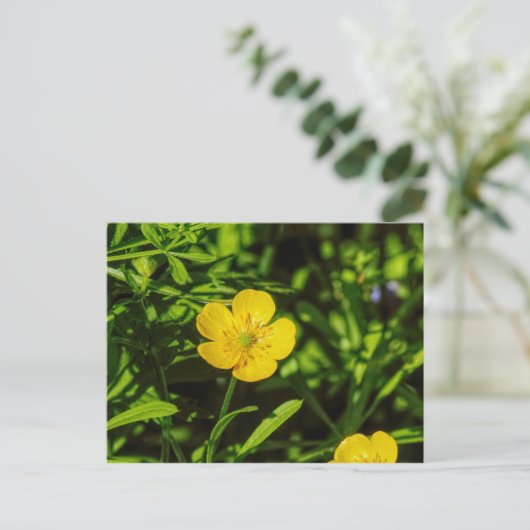 Buttercup Postkarte (Stehend Vorderseite)