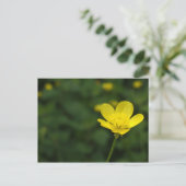 Buttercup Postkarte (Stehend Vorderseite)