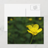 Buttercup Postkarte (Vorne/Hinten)