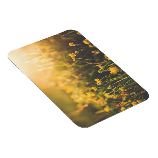 Buttercup Sundown Magnet (Rechte Seite)