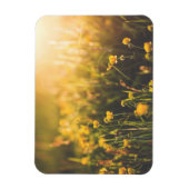 Buttercup Sundown Magnet (Vertikal)