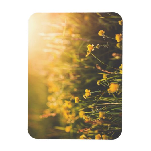Buttercup Sundown Magnet (Vertikal)