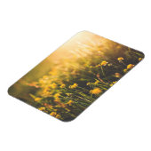 Buttercup Sundown Magnet (Linke Seite)