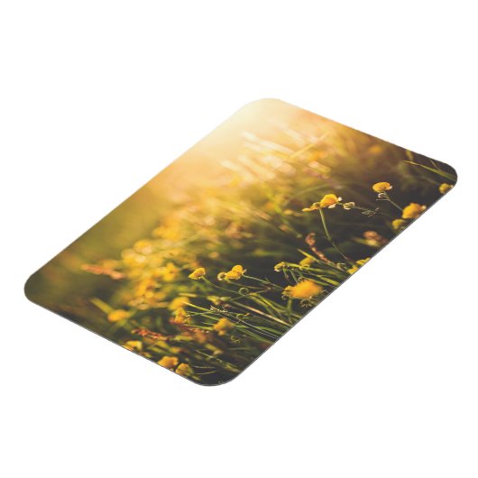 Buttercup Sundown Magnet (Linke Seite)