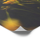 Buttercup Sundown Poster (Ecke)