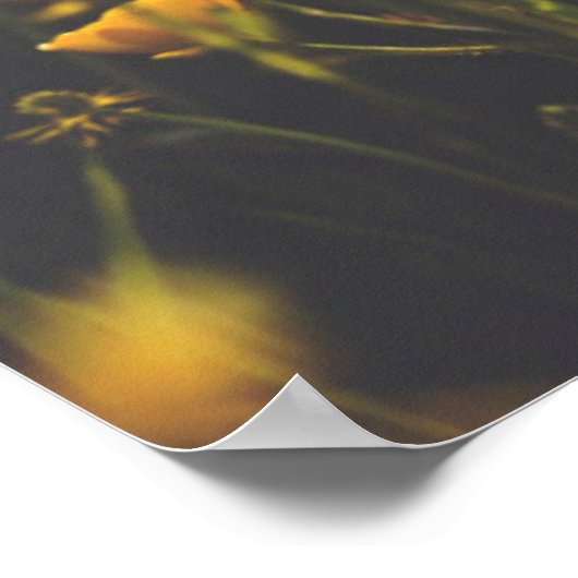 Buttercup Sundown Poster (Ecke)