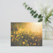 Buttercup Sundown Postkarte (Stehend Vorderseite)