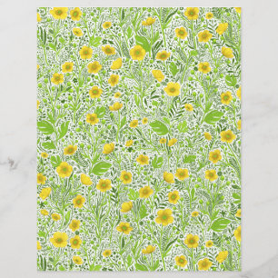 Buttercups auf weiß