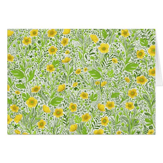 Buttercups auf weiß (Vorderseite (Horizontal))