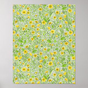Buttercups auf weiß poster