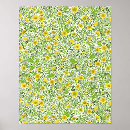 Buttercups auf weiß poster (Vorne)